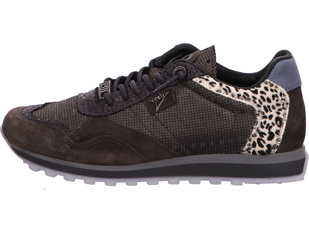 Cetti damessneakers C848 Sra in een combinatie van zwart en meerdere kleuren.
