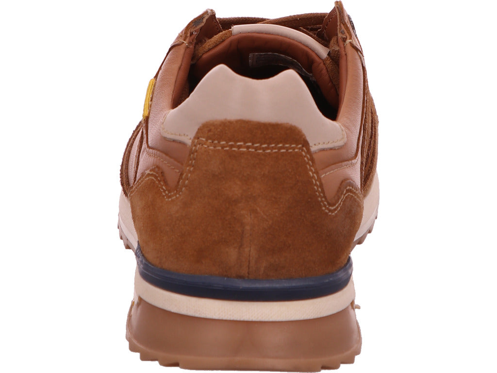 Camel Active Herren Sneaker  in braun-bunt-kombiniert