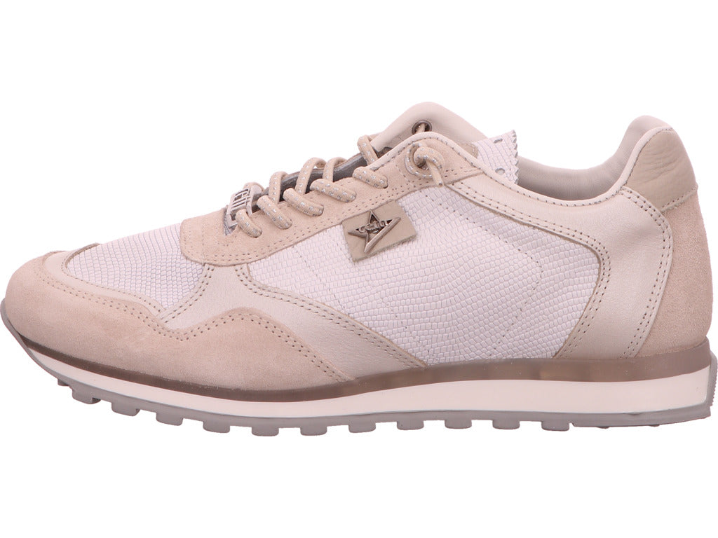 Cetti damessneakers C848 Sra in beige-multicolor combinatie