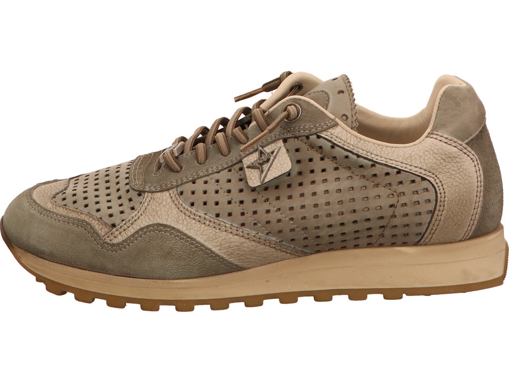 Cetti Herren Sneaker C848 in grün
