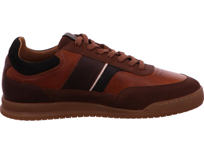 Bullboxer Herren Sneaker  in braun-kombiniert