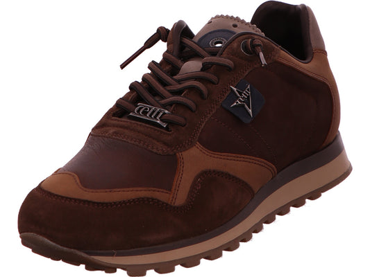 Cetti Herren Sneaker C848 - Ante Nobuck Cacao in braun-bunt-kombiniert