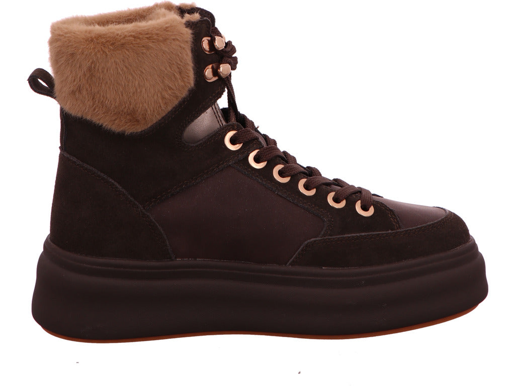 Blauer Shoes Damen Stiefel Emery 01 in dunkelbraun